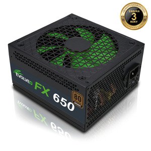 Evolveo FX 650 650W FX650
