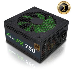 Evolveo FX 750 750W FX750
