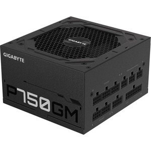 GIGABYTE P1000GM 1000W
