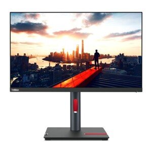 Lenovo P24h-30