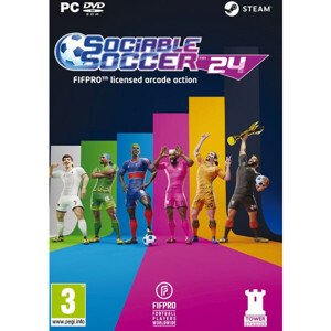 Sociable Soccer 24 (PC)
