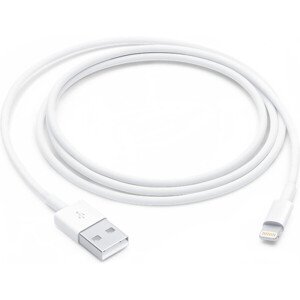 Lightning to USB Cable (1m)