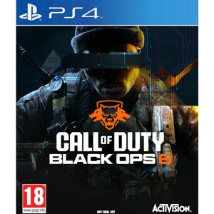 Call of Duty: Black Ops 6 (PS4)