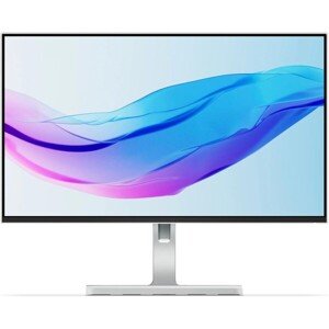 Lenovo L24m-4A monitor 24"
