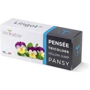 Véritable Lingot Maceška - BIO