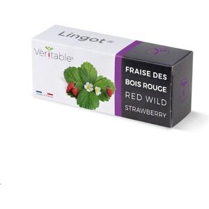 Véritable Lingot Divoké červené jahody