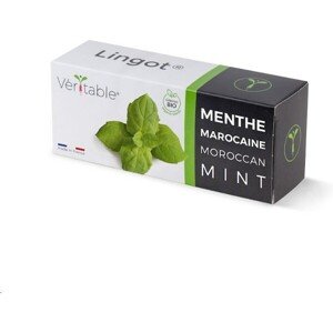 Véritable Lingot Marocká mäta - BIO