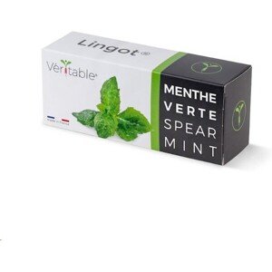 Véritable Lingot Mäta klasnatá