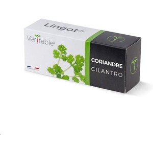 Véritable Lingot Koriander