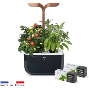 Véritable Exky SMART - Automatický kvetináč s reguláciou osvetlenia, čierna medená + 2 bylinkové náp