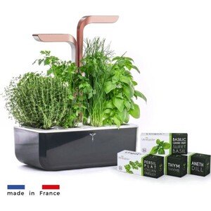 Véritable SMART - Automatický kvetináč s reguláciou osvetlenia, čierna medená + 4 bylinkové náplne