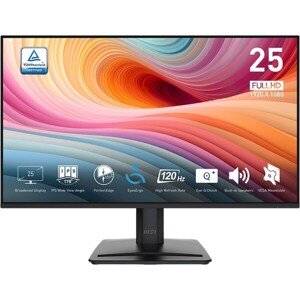 MSI PRE MP251 E2 monitor 24,5"