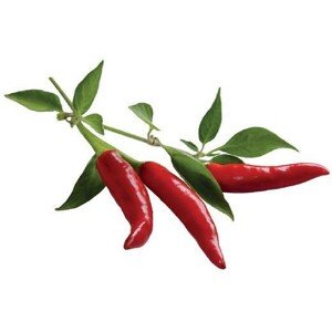 Click and Grow chilli papričky kapsule so semienkami a substrátom 3ks