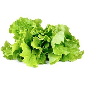 Click and Grow zelený šalát kapsule so semienkami a substrátom 3ks