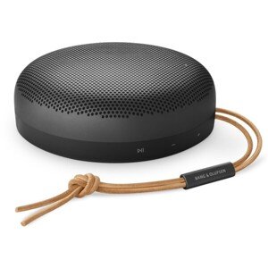 Bang & Olufsen Beosound A1 2.