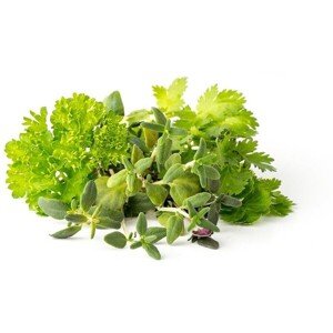 Click and Grow Mix Steakový mix kapsule so semienkami a substrátom 9ks