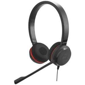 Jabra Evolve 20 Duo USB MS leather
