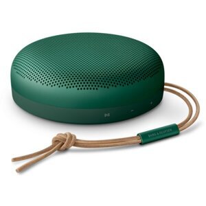 Bang & Olufsen Beosound A1 2.