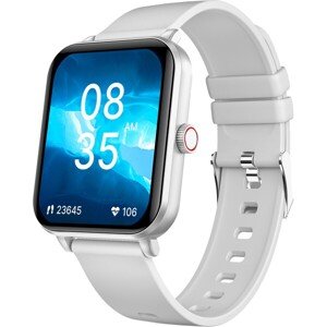 Niceboy Watch Lite 4 Artic šikovné hodinky strieborné
