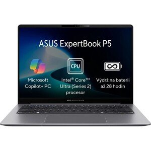 ASUS ExpertBook P5 (P5405CSA-ULTRA5X) sivý
