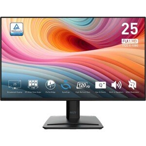 MSI PRE MP252 E2 monitor 24,5"
